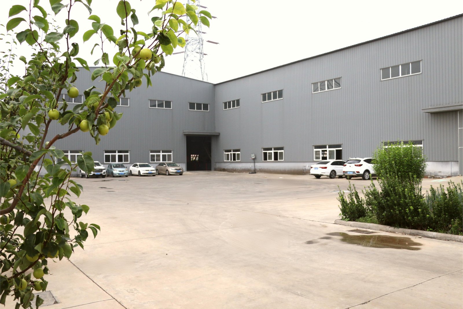 91064467.jpg 91064467.jpg